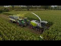 Claas Jaguar 990 Terra Trac | Maize 2023 | Jennissen | 6x Fendt