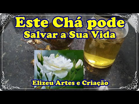 Vídeo: O Que As Rosas São Chamadas De Rosas De Chá