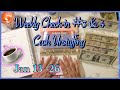 Weekly Expense Check| Cash Unstuffing Week 3 &amp; 4| Paying My Credit Card! January 2023| #cashstuffing