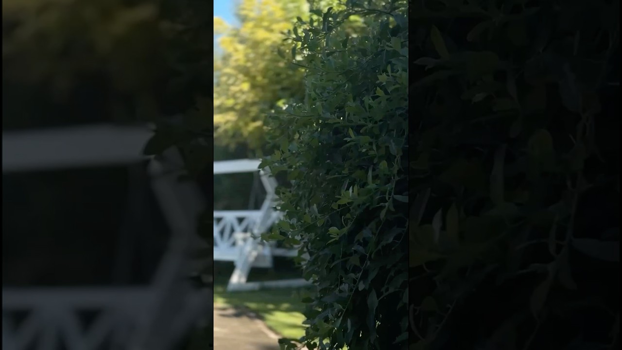 Качели садовые из массива дерева, чтобы наслаждаться течением времени🌿