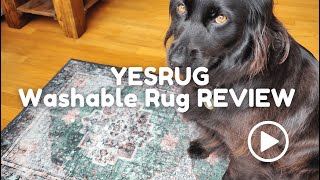 YESRUG Washable Rug Perfect if you have Pets! Review