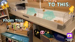 Making a DIY Guinea Pig Cage!!