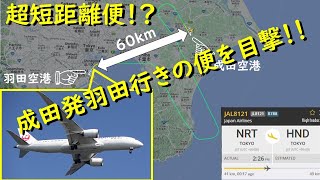 直線距離わずか60km、成田空港から羽田空港へ向かう飛行機を城南島海浜公園から目撃！Flightradar24も使ってJAL8121便フェリーフライトを追跡してみた。