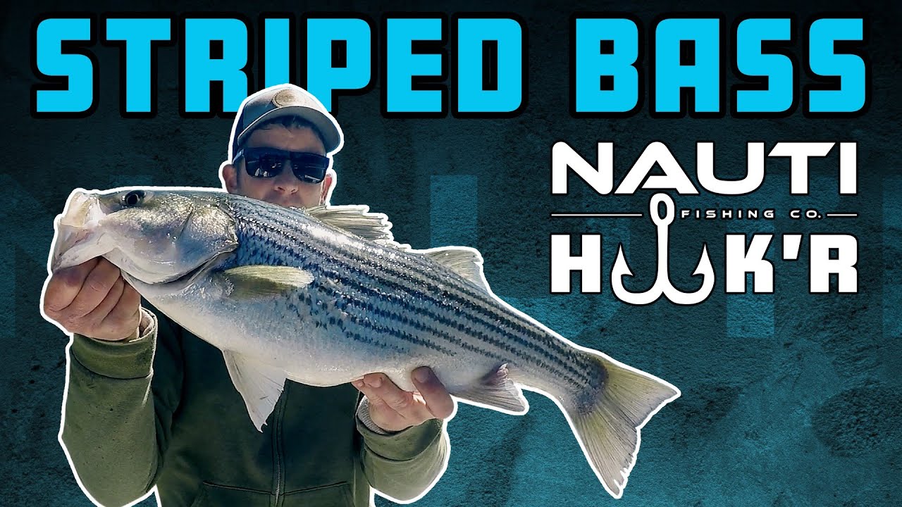 STRIPER FISHIN' KISSES FOR OUR FISHES Cape Fear River, NC YouTube