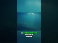 This Underwater River Shouldn't Exist But It Does #science #wow