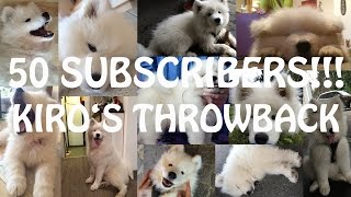 Samoyed Throwback by Kiro 471 views 8 years ago 3 minutes, 57 seconds