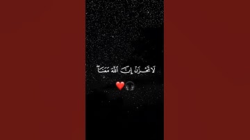 سورة التوبة 🧡 | عبدالرحمن مسعد
