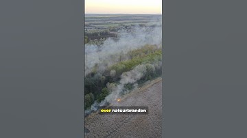 Bosbranden & Droogte 🌍 De stem van een wijze man #klimaat #bosbranden #droogte#shorts #viral