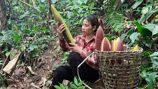 Harvesting banana flowers to sell at the market - garden and grow vegetables - farm life, trieu lily