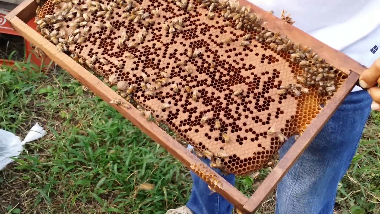 creacion de un nucleo