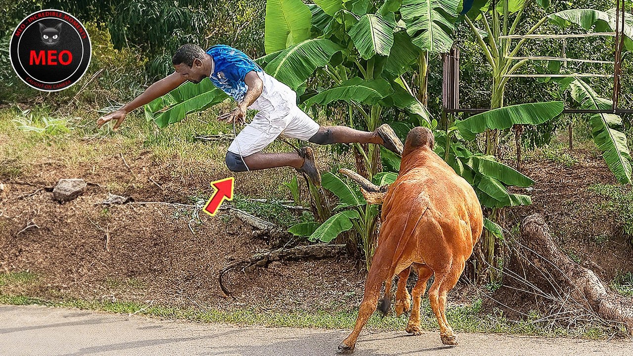 Moments When Things Went Wrong | Best Of Month (P21)