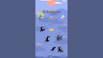 Rarest Voidpet Species