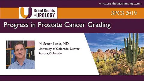 Progress in Prostate Cancer Grading