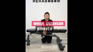 Wrist Extensor Stretch - Tennis Elbow stretch