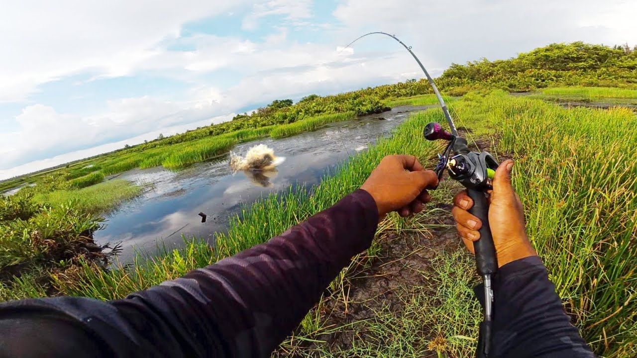 N3KAT MANCING DIBULAN PUASA YANG BERUJUNG G4COR !!! mancing dibulan puasa hari 1