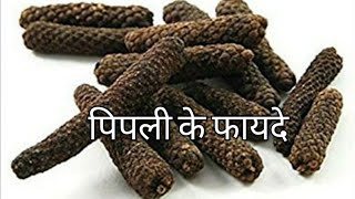 पिपली के फायदे | पिपली के औषधीय गुण | Piper longum benefits | piper longum medicinal benifits |