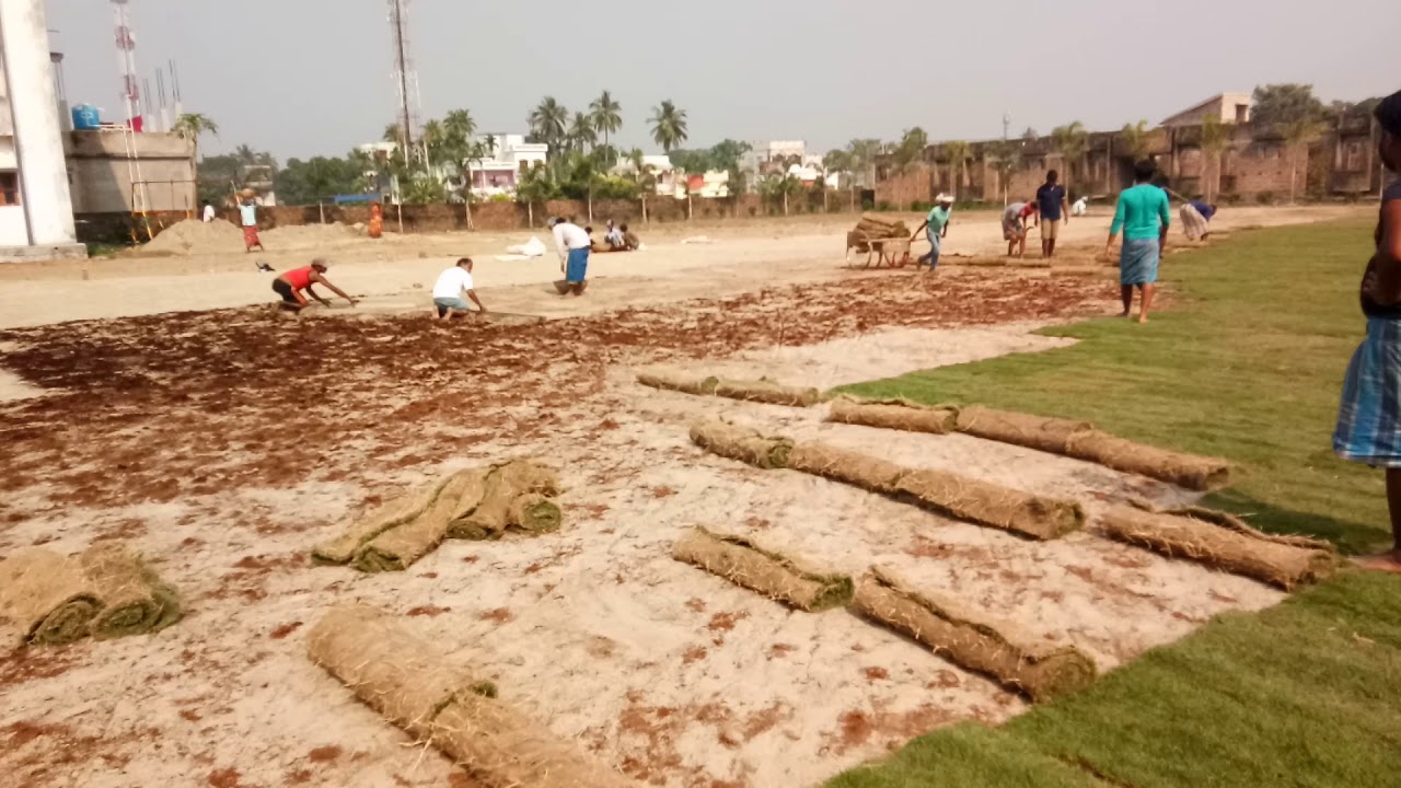 lawn grass supplier in Kolkata YouTube