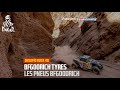 Tyres of the Dakar by BFGoodrich Eps. 2 - #DesafioRuta40