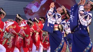 舞華  原宿スーパーよさこい2018  Yosakoi Festival