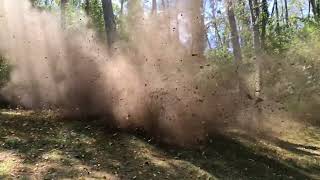 Blowing up a stump with one stick of dynamite