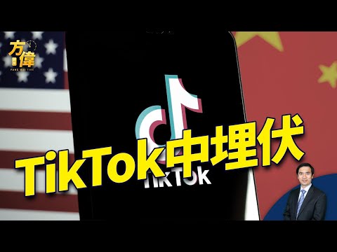 美国两党合作 决心干掉TikTok