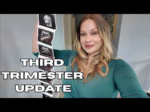 Third Trimester Update and Maternity Photoshoot
