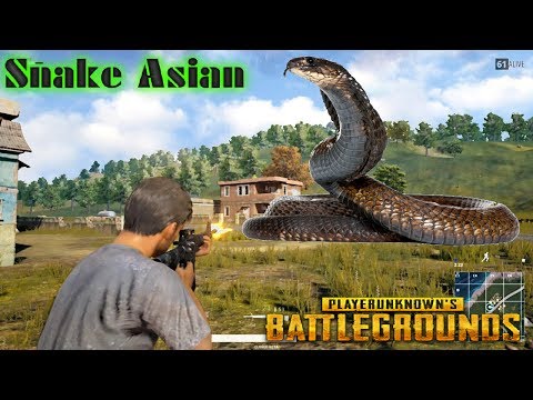 rip113 pubg mobile BATTLEGROUNDS - 2 TOP 1 ! FFQ_Snake