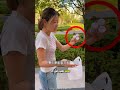 جربت هذه المرأة ترند الكركم في حوض السمك