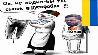 ЗИО обозревает ШОРТЫ Виталия Дана