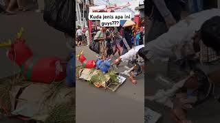 kudanya imut banget #karnaval #gringsing #2025 #hutri80