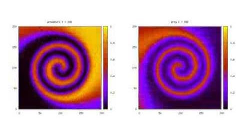 Spiralwellen / Spiral waves - FTW!