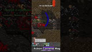 XP INSANA no Tibia: Combine Roda e Multi-Action para OTIMIZAR sua hunt!