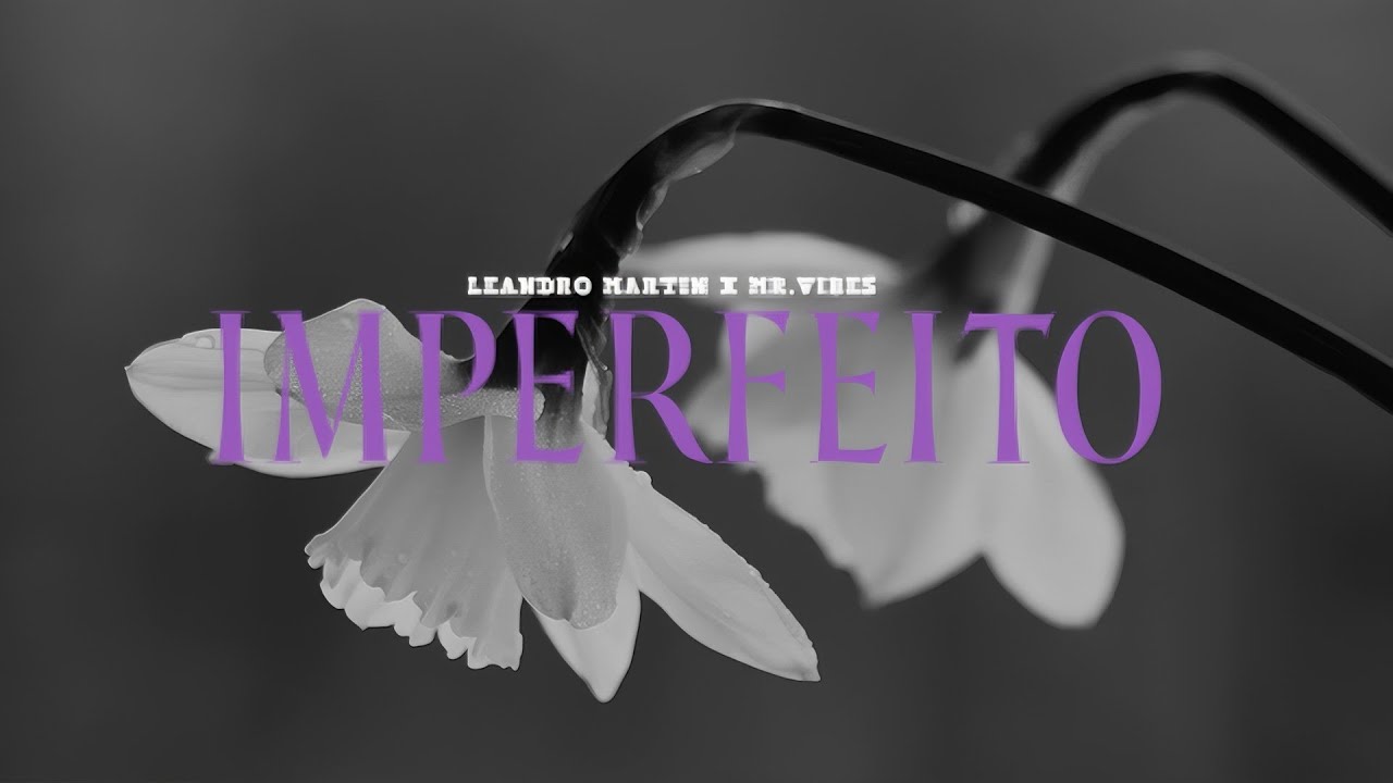 Leandro Martin - Imperfeito ( feat 