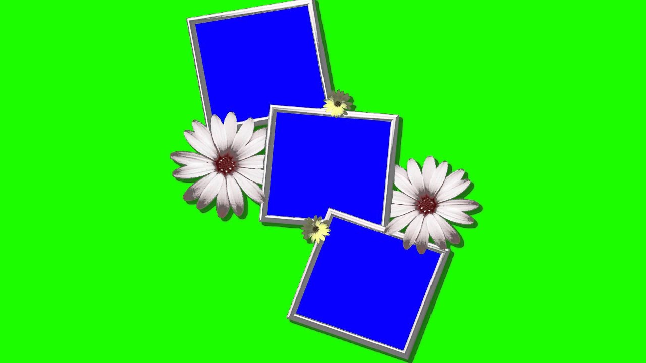 creative photo frames in green screen free stock footage YouTube