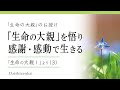 生命の大親を悟り、感謝・感動で生きる／本当の神の愛を感じる生き方
