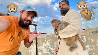 Bandar ko ghar le aae hum 🐒🐵 Rescue monkey part 1