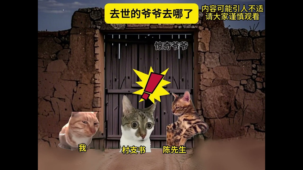 《惊奇爷爷》112分钟合集，内容可能引人不适，请谨慎观看 #猫meme #悬疑 #超爆小故事