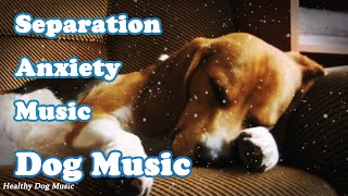 Soothing Music to Relax Your Dog!  Calm Your Dog and Combat Anxiety!