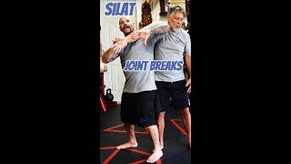 Silat: Insane Joint Breaks Hurt