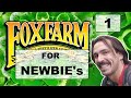 Fox farm for newbies  big bloom  grow big  more part 1