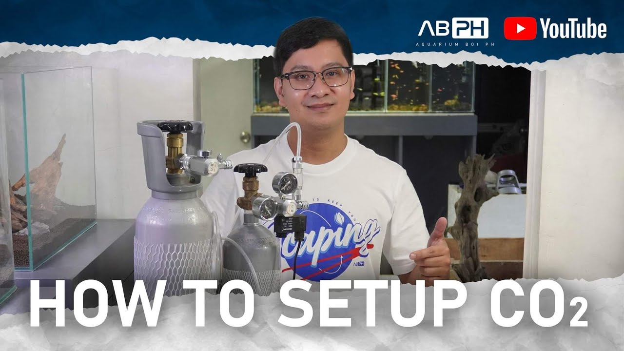 ABPH - How to Setup CO2 in Aquarium - YouTube