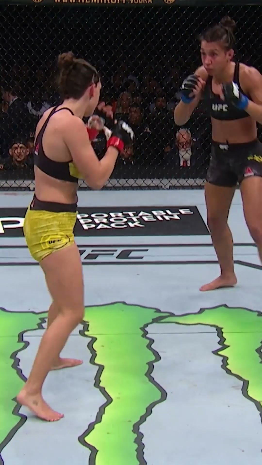 Who wins this rematch? ? #ufcvegas101