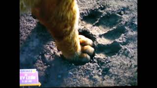 El Rey León Estreno Domingo 930Pm Azteca 7