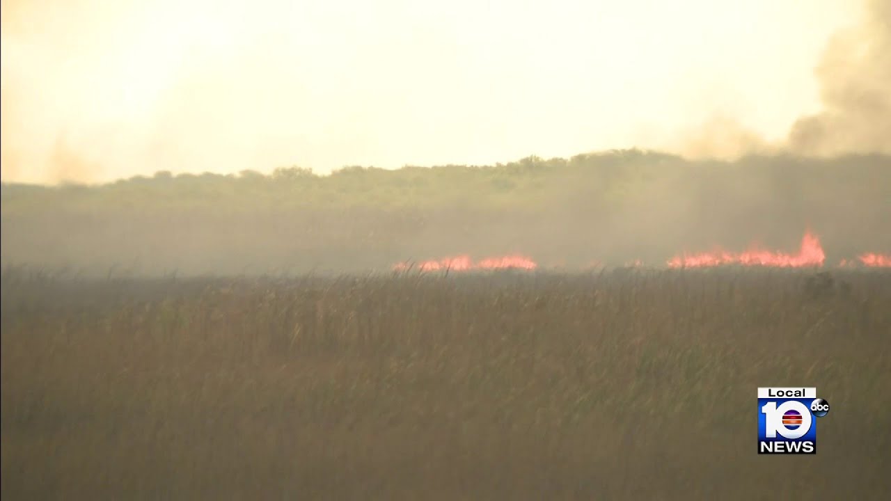 Brush fires now head into Broward County scorching nearly 10,000 acres ...