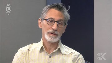 US tourist driver speaks out after causing fatal crash: RNZ Checkpoint