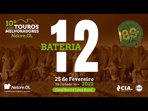 BATERIA 12 - 10º LEILÃO - TOUROS MELHORADORES NELORE OL