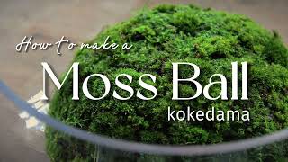 How To Make A Moss Ball