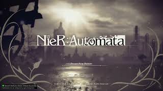 Special K for Nier Automata (works for steam and non-steam versions)