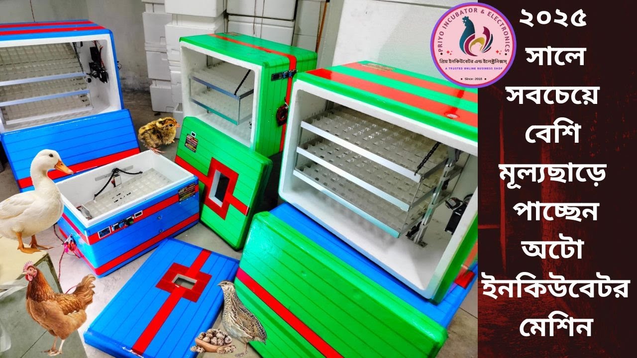 সর্বনিম্ন দামে কিনুন কর্কশিট বডির অটো ইনকিউবেটর মেশিন | auto incubator at low price in bangladesh