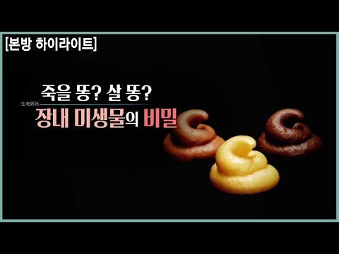 우울증, 관절염, 자폐, 치매에까지 영향을 미치는 내 장 속 미생물 (KBS_2019.12.11 방송)